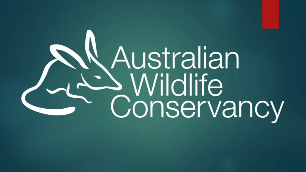 Mengeksplorasi keunikan flora dan fauna benua australia - Konservasi