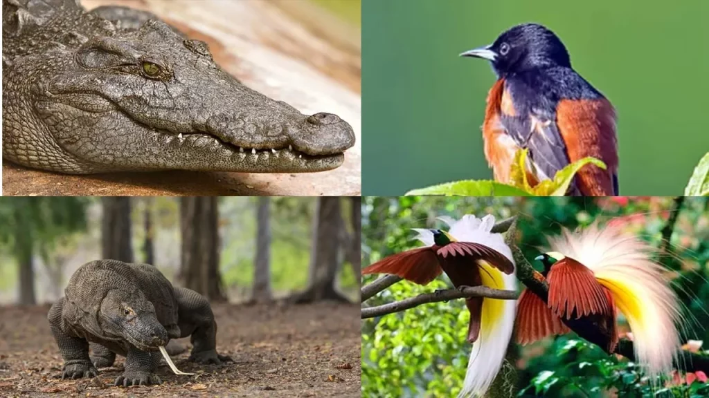 Burung, Mamalia dan Reptil Ikonik dari wilayah Oriental